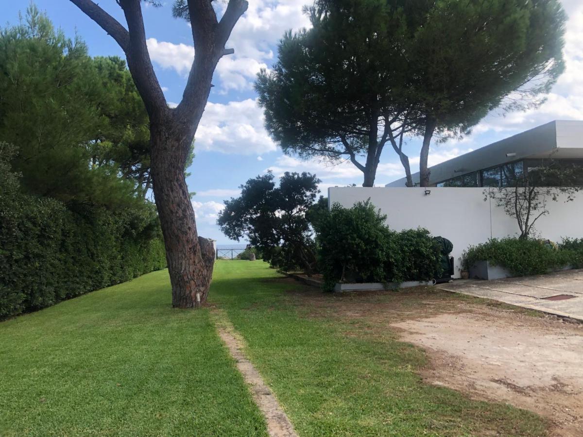 Beachfront Villa Hoopoe Schinias, Marathon 외부 사진
