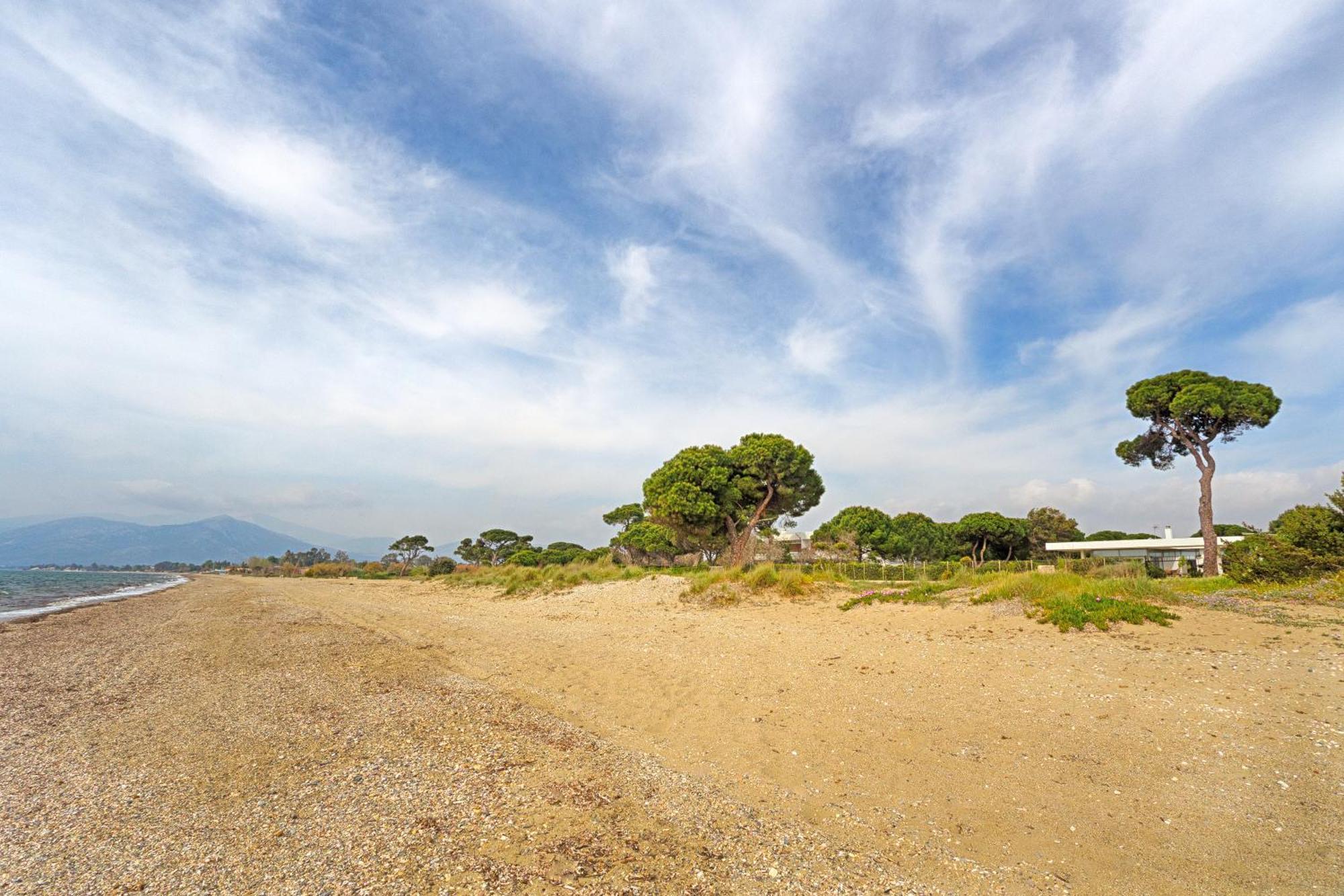 Beachfront Villa Hoopoe Schinias, Marathon 외부 사진